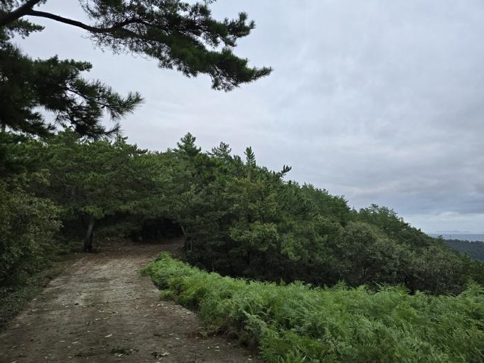 경상남도 남해군 창선면 진동리 산220 임야 경매 사진 2