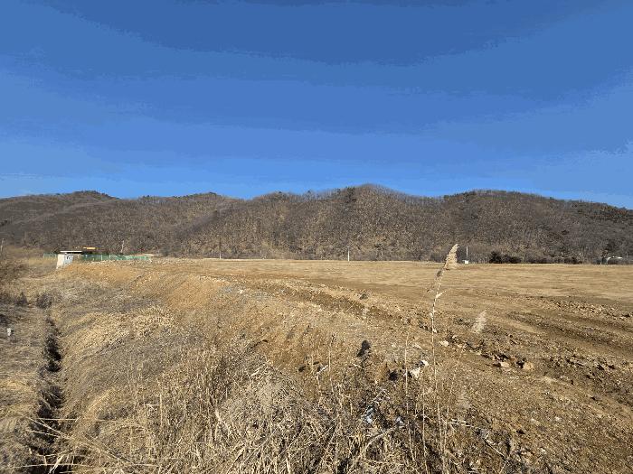 충청남도 천안시 동남구 광덕면 행정리 5 답 경매 사진 2