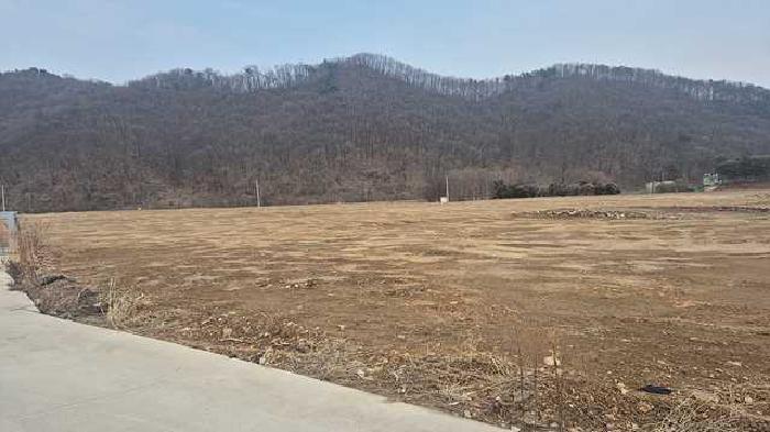 충청남도 천안시 동남구 광덕면 행정리 5 답 경매 사진 5