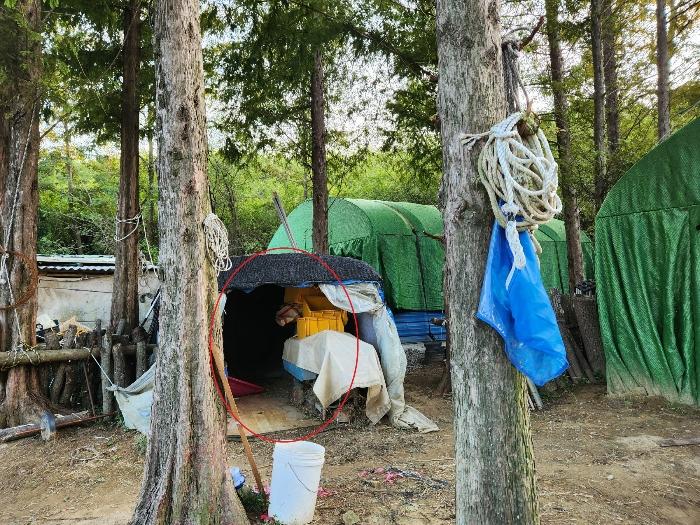 경상남도 사천시 서포면 다평리 358-2 전 경매 사진 10