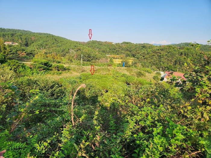 경상남도 사천시 서포면 다평리 358-2 전 경매 사진 2