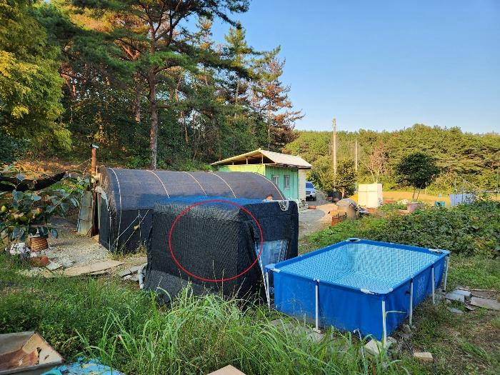 경상남도 사천시 서포면 다평리 358-2 전 경매 사진 7