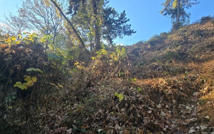 경상남도 사천시 서포면 구랑리 산85 임야 경매 사진 2