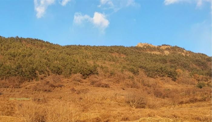경상남도 남해군 남면 선구리 산75 임야 경매 사진 3