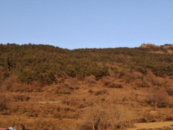 경상남도 남해군 남면 선구리 산75 임야 경매 사진 7