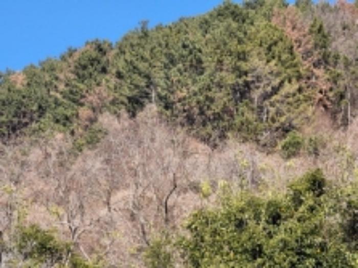 경상남도 거제시 연초면 한내리 산122-2 임야 경매 사진 20