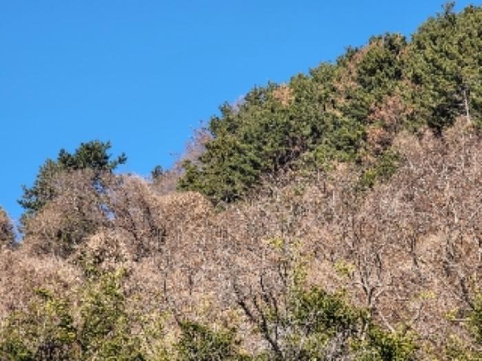 경상남도 거제시 사등면 사등리 1982-2 답 경매 사진 19