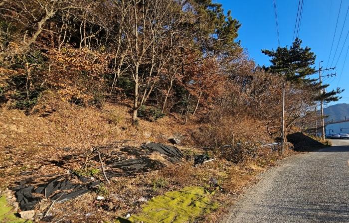 경상남도 통영시 도산면 오륜리 99-1 공장용지 경매 사진 1