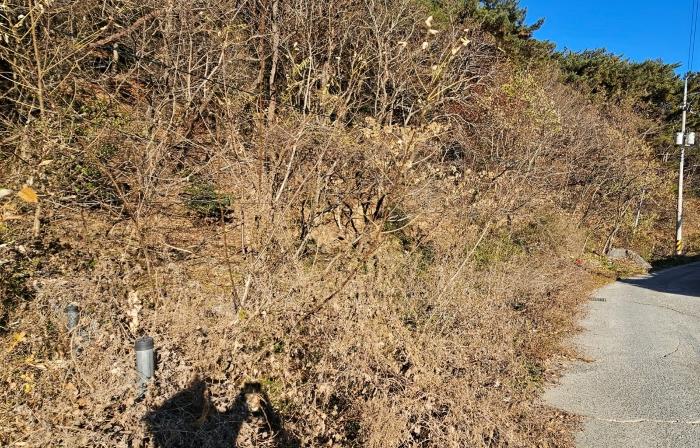 경상남도 통영시 도산면 오륜리 99-1 공장용지 경매 사진 11