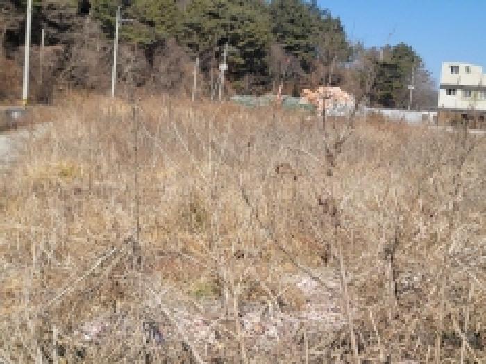 경상남도 통영시 도산면 오륜리 99-1 공장용지 경매 사진 16