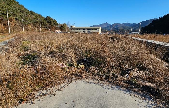 경상남도 통영시 도산면 오륜리 99-1 공장용지 경매 사진 3