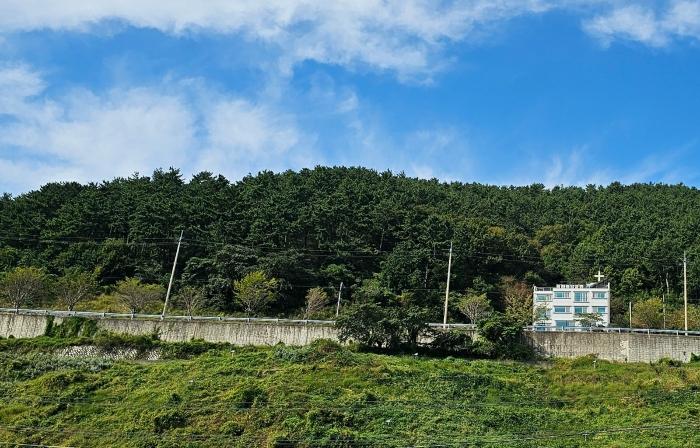 경상남도 거제시 장승포동 산64-12 임야 경매 사진 1