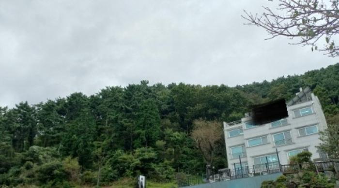 경상남도 거제시 장승포동 산64-12 임야 경매 사진 8