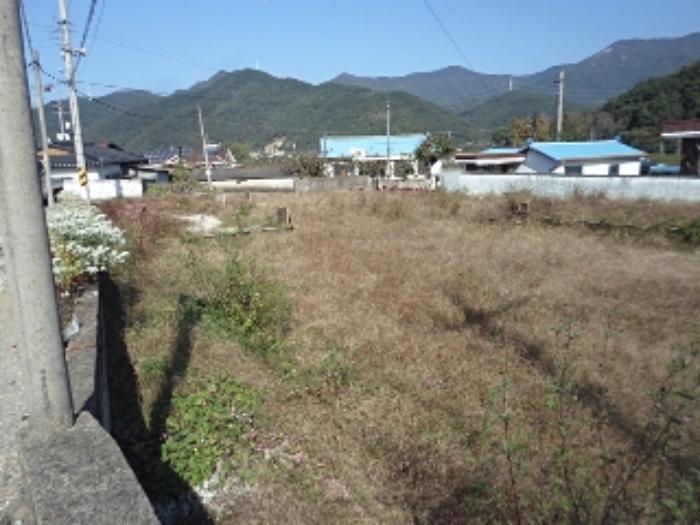 경상남도 밀양시 단장면 태룡리 637-1 대지 경매 사진 1