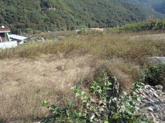 경상남도 밀양시 단장면 태룡리 637-1 대지 경매 사진 3