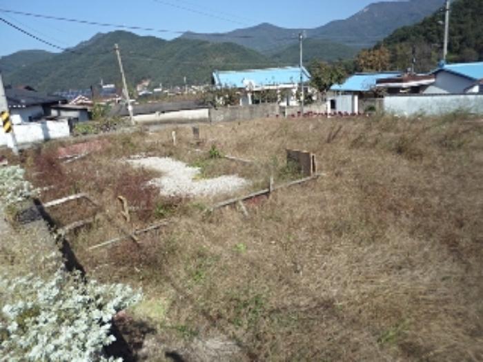 경상남도 밀양시 단장면 태룡리 637-1 대지 경매 사진 4