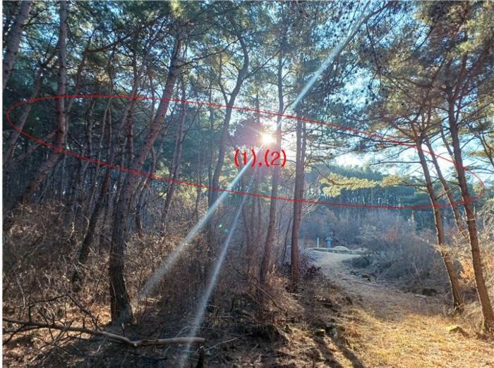 대구광역시 동구 도동 산207 임야 경매 사진 1