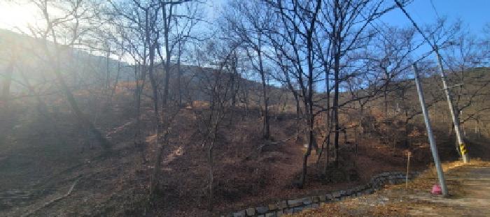 대구광역시 동구 도동 산207 임야 경매 사진 12