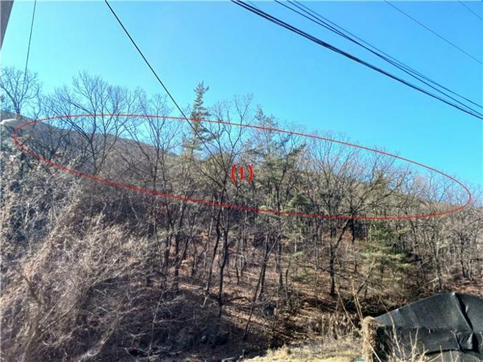 대구광역시 동구 도동 산207 임야 경매 사진 2