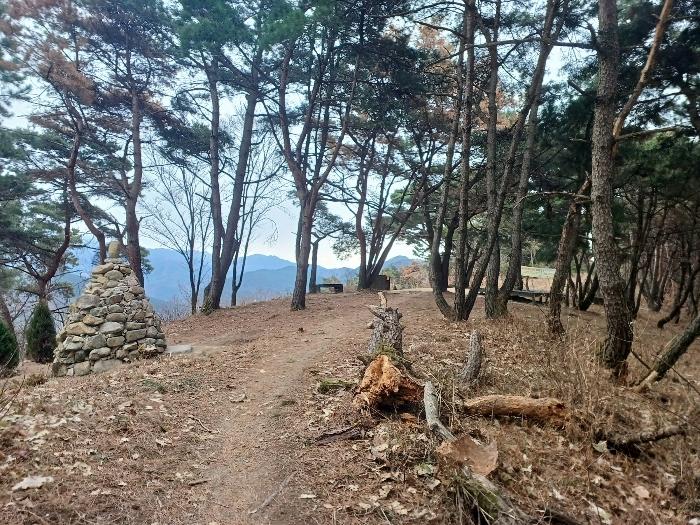 대구광역시 동구 도동 산207 임야 경매 사진 3