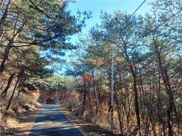 대구광역시 동구 도동 산207 임야 경매 사진 4