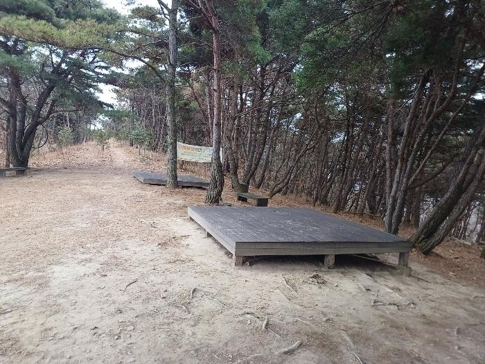 대구광역시 동구 도동 산207 임야 경매 사진 7