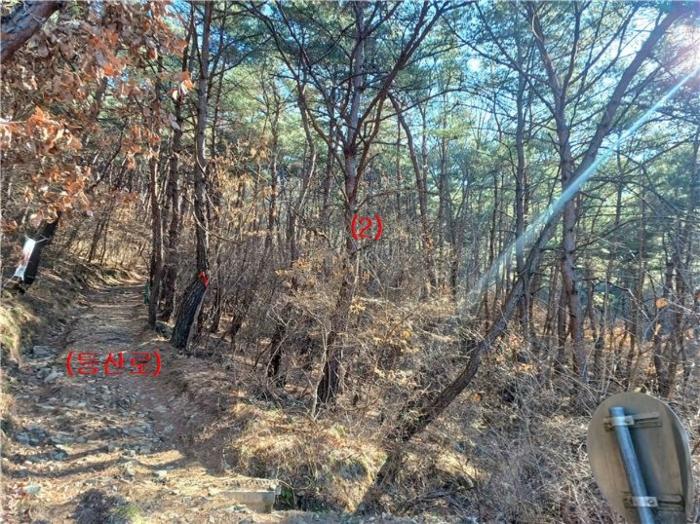 대구광역시 동구 도동 산207 임야 경매 사진 8