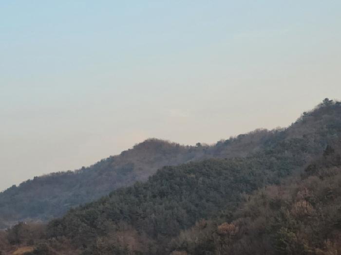 전라남도 여수시 묘도동 산113-1 임야 경매 사진 9