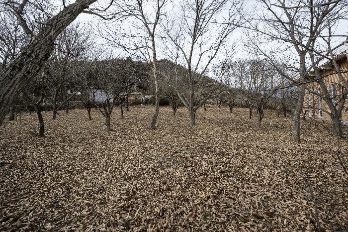 전라남도 광양시 옥룡면 추산리 477 주택 경매 사진 1