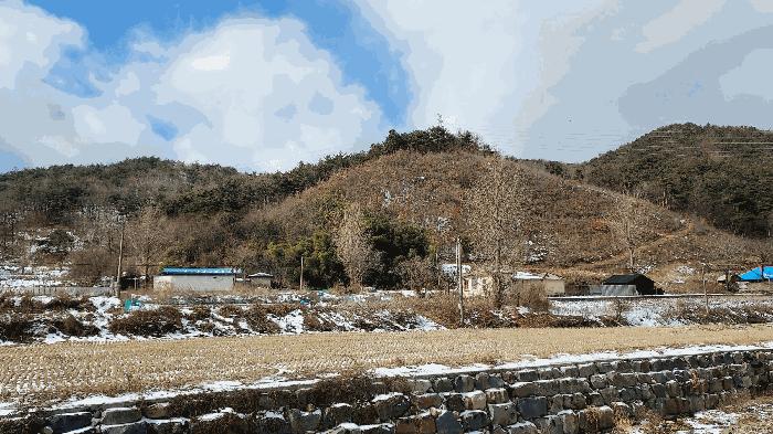 충청남도 보령시 청라면 옥계리 산31-10 임야 경매 사진 1