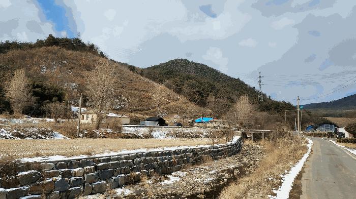 충청남도 보령시 청라면 옥계리 산31-10 임야 경매 사진 2