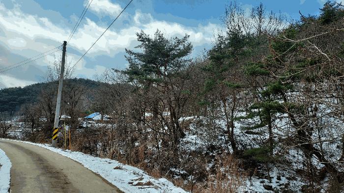 충청남도 보령시 청라면 옥계리 산31-10 임야 경매 사진 3