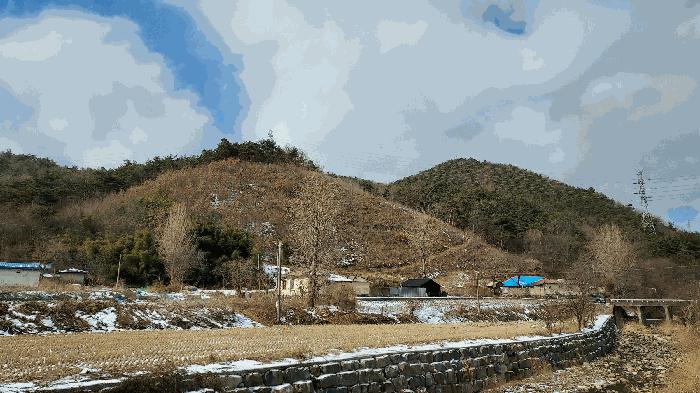 충청남도 보령시 청라면 옥계리 산31-10 임야 경매 사진 4