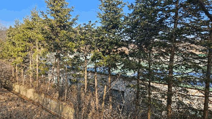 충청남도 당진시 송악읍 본청길 96 (효제요양병원)구) 충청남도 당진시 송악읍 본당리 580-12 병원 경매 사진 7