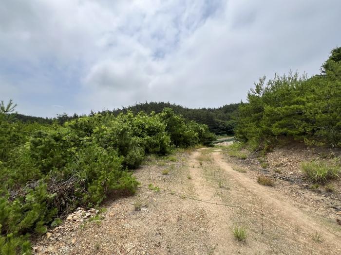 충청남도 태안군 남면 당암리 170-6 임야 경매 사진 2