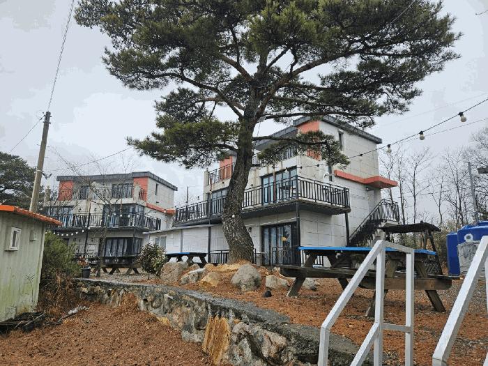 경상북도 경주시 양남면 신대리 533-4 펜션(캠핑장) 경매 사진 2