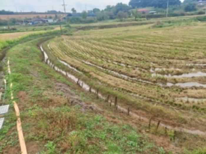 충청남도 당진시 송악읍 복운리 171 답 경매 사진 19