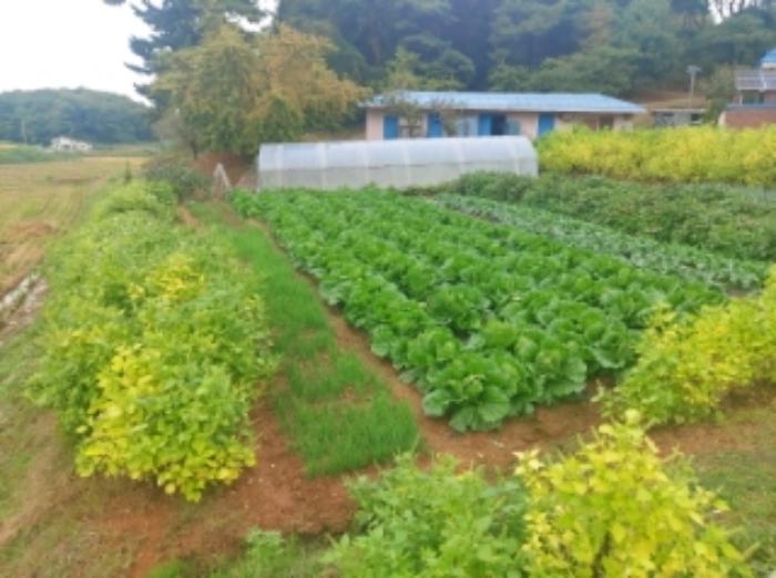 충청남도 당진시 송악읍 복운리 171 답 경매 사진 30