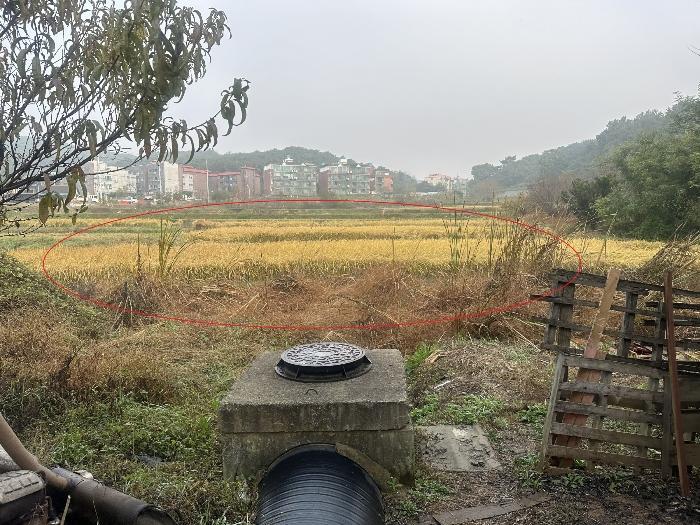 충청남도 당진시 송악읍 중흥리 233-7 답 경매 사진 2