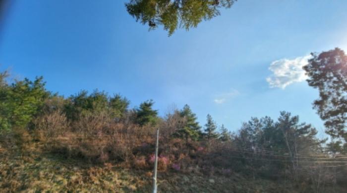 울산광역시 남구 성암동 산16 임야 경매 사진 10