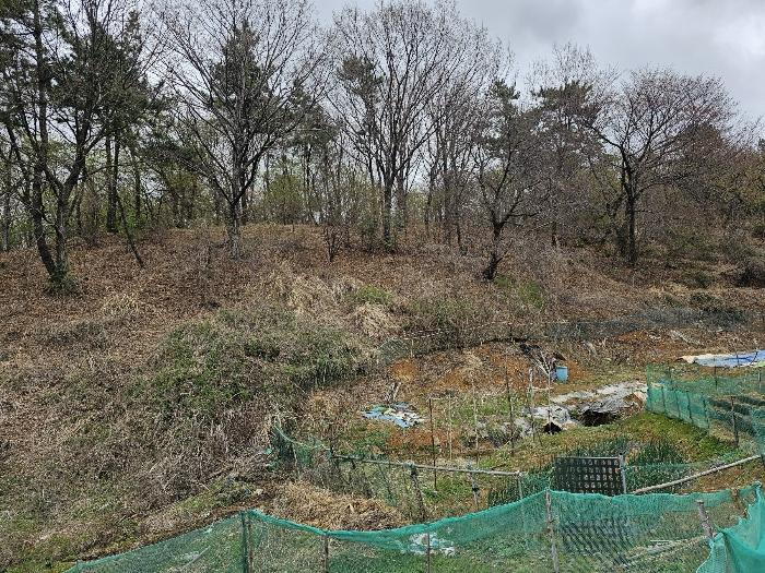 울산광역시 남구 성암동 산16 임야 경매 사진 2