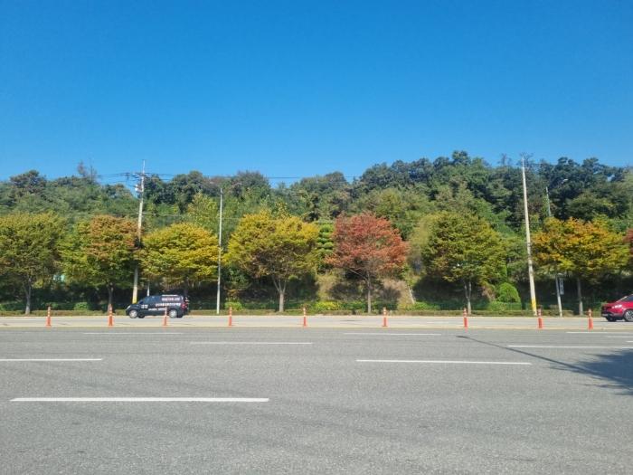 서울특별시 강남구 세곡동 산2 임야 경매 사진 4