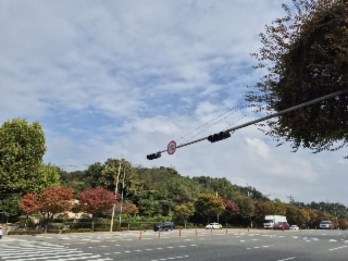 서울특별시 강남구 세곡동 산2 임야 경매 사진 5