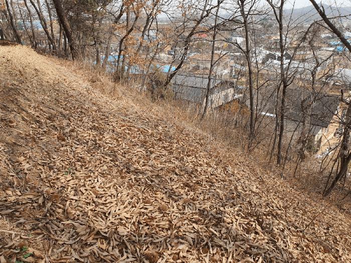 경기도 화성시 비봉면 유포리 329 주택 경매 사진 14