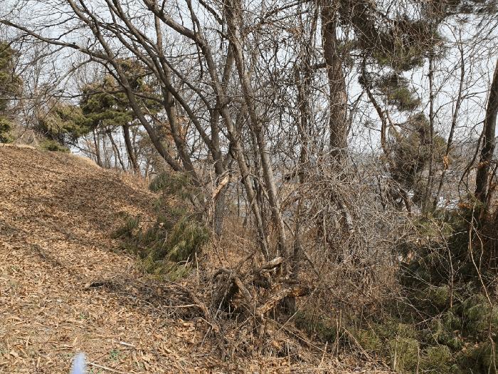 경기도 화성시 비봉면 유포리 329 주택 경매 사진 3