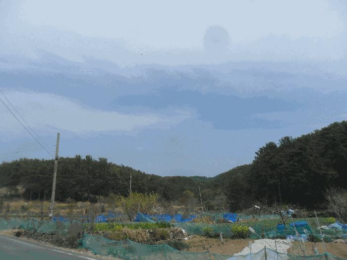 경상남도 창원시 마산합포구 구산면 구복리 산64-7 임야 경매 사진 1