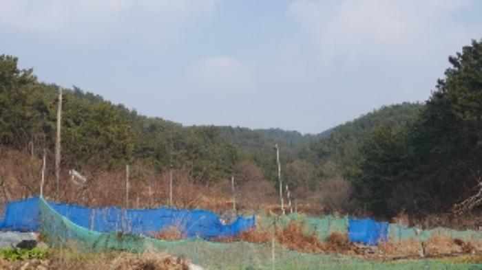 경상남도 창원시 마산합포구 구산면 구복리 산64-7 임야 경매 사진 5