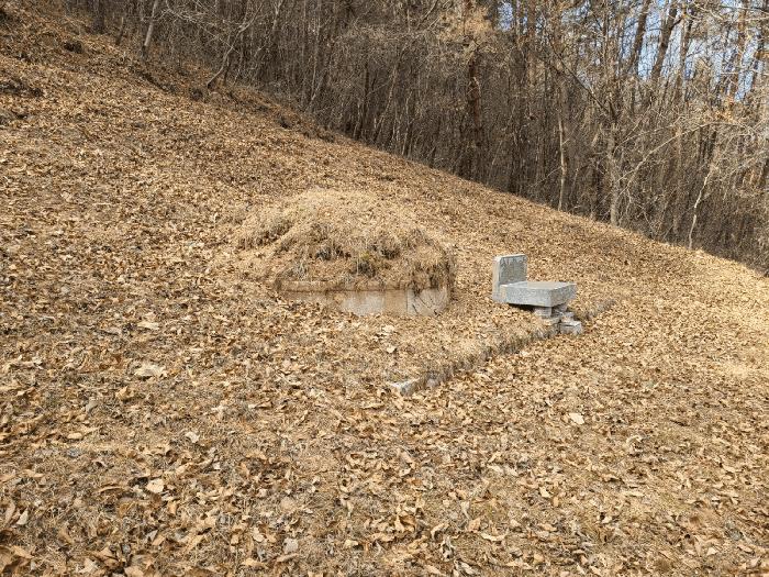 경상남도 의령군 정곡면 성황리 산64 임야 경매 사진 1