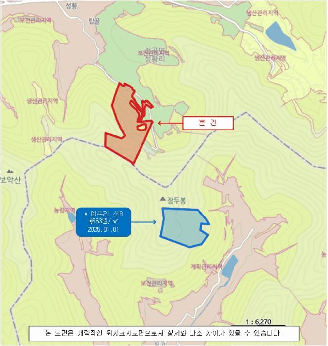 경상남도 의령군 정곡면 성황리 산64 임야 경매 사진 13