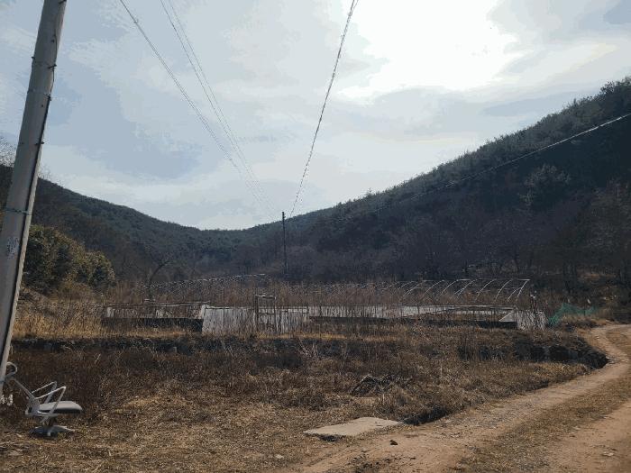 경상남도 의령군 정곡면 성황리 산64 임야 경매 사진 4